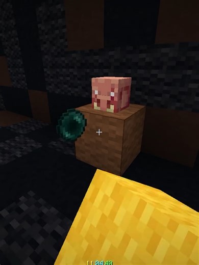 Explore Minecraft Free Edition Gameplay