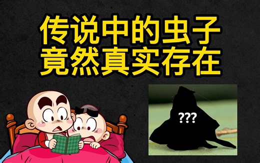 传说中的虫子“蝜蝂”原来就是它，爱背东西的小精灵