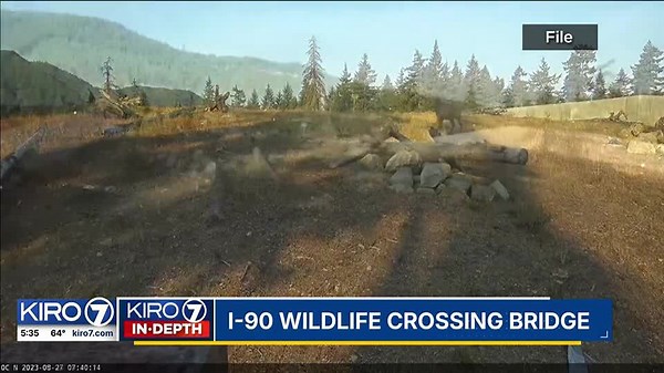 VIDEO: I-90 wildlife crossing bridge