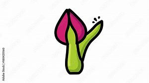 Animated tulip unfurling sequence, capturing growth and life cycle from bud to bloom illustration