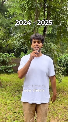 7.5M views · 3.4K reactions | Here’s a quick guide to planning your...