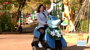 Interactive Displays And Holiday Magic Await At Oklahoma City Zoo