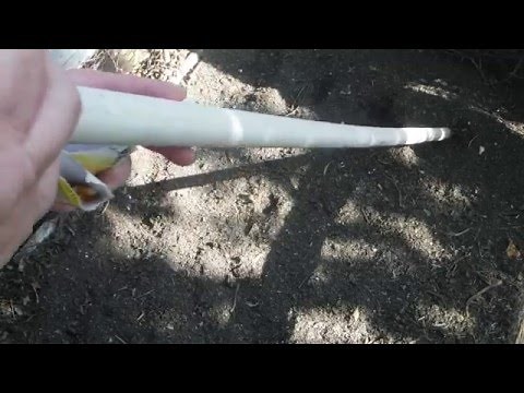 PLANTING CORN-SEEDS WITH PVC PIPE