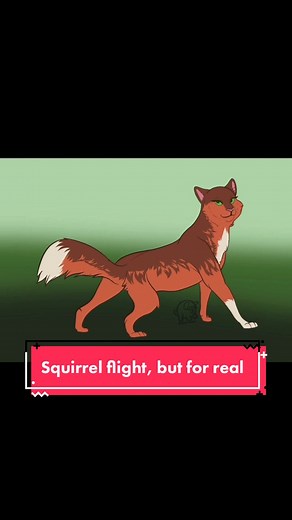 How to Draw Squirrelflight from Warrior Cats