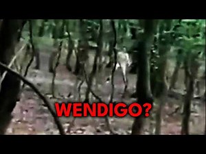 Unexplained Footage From the Woods (And Other Scary Videos)