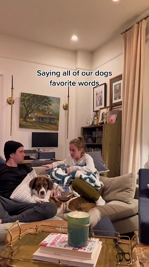 Dog Communicates with Buttons: Speaking Their Favorite Words