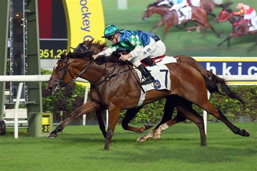 Hong Kong Racing - Tracks, Tips, Results - Punters.com.au