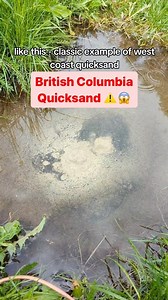 159K views · 4.5K reactions | West coast quicksand is no joke!!! 﫣⚠️⤵️  thanks to: @thenoteasylife Follow @nmgvancouver for more Vancouver content! Dm us your photos/videos to be featured on the page! #NMG #NMGVancouver #vancouver #surrey #richmond #canada | Northly Vancouver | Facebook