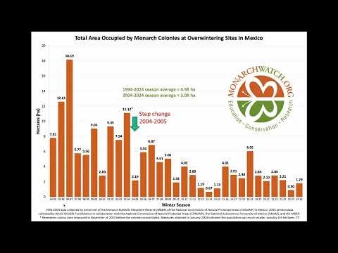 An in depth look at the cause and effect of OE in migratory Eastern Monarchs.