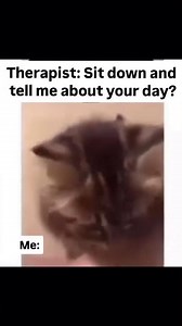 It’s Okay Cute Kitten, We All Have Those Days 😿 #funnypets #cuteanimals #catshorts #cutekitten