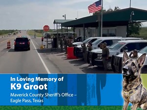 Honoring K9 Groot 🐾 As K9 Groot made his final journey leaving the Veterinary Clinic, Border Patrol agents stood in solemn salute—paying tribute to a true hero. 🇺🇸 With heavy hearts, we remember K9 Groot of the Maverick County Sheriff’s Office in Eagle Pass, Texas. More than a K9, he was a partner, protector, and friend. His courage in the line of duty—from patrol work to narcotics detection—will never be forgotten. End of Watch: July 18, 2025 Rest easy, K9 Groot. Your service and sacrifice w