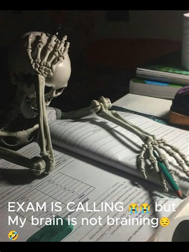 😭exam, homework, school 😭