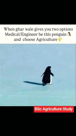 BSc Agriculture Student Life. #viral #shorts #agriculturecourse #farming #agriuniversity #ytshorts