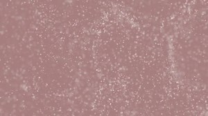 Gold Particles. Natural Floating Organic Particles On beatiful Background. Glittering Particles With Bokeh. Slow motion.