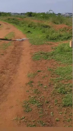 10K reactions · 1.7K shares | #அய்யோ#coimbatore...