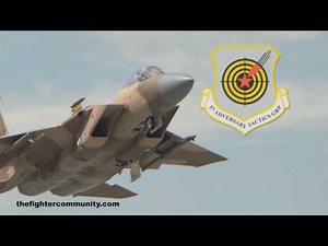 F-15C AGGRESSORS. USAF 65th Aggressor Squadron.