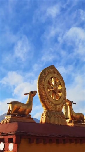 4.9K views · 93 reactions | The view of Lhasa city from the roof of Jokhang Temple. For more Tibet traveling information, contact Tibet Travelers. www.tibettravelers.com | Tours & Travel Service - Tibet Travelers | Facebook