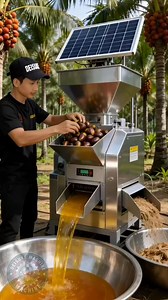 Automatic solar powered palm oil cooking oil making machine 😱 #reels #us #machine #technology | Deisuke