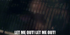 Let me out! Let me out!