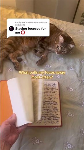 Journal prompts for focusing #journalprompts #focustips #howtofocus