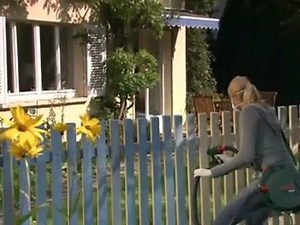 Bosch PFS 65 - www.yapishop.com