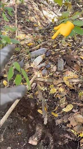 Archaeology Digging for OLD 100 Year Old Bottles - Canada Bottle Digging 🔥 #shorts #history #vintage