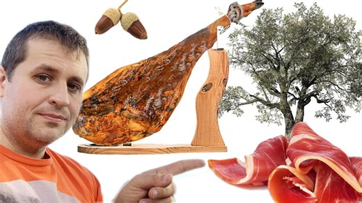 These trees produce the world’s best ham and jamón