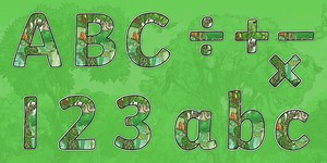 The Amazon Rainforest Display Lettering