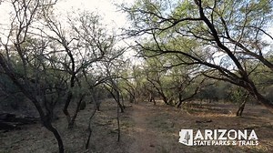 2.6K views · 139 reactions | A few moments of peace at Sonoita Creek State Natural Area. More: azstateparks.com/play | Arizona State Parks | Facebook