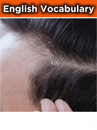 ENGLISH VOCABULARY. #learnenglish #englishteacher #english ##englishvocabulary #englishlesson