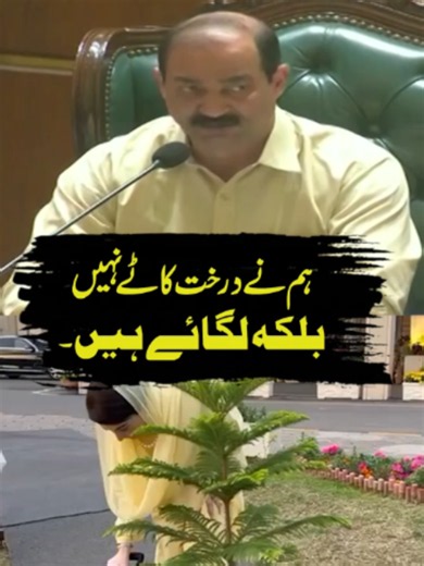 ہم نے درخت کاٹے نہیں، بلکہ لگائے ہیں۔ #punjabassembly #maryamnawaz #rnntv