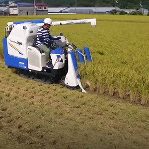 3.2M views · 74 reactions | This harvester can hold up to 1,700 liters of rice at once. | In The Know | Facebook