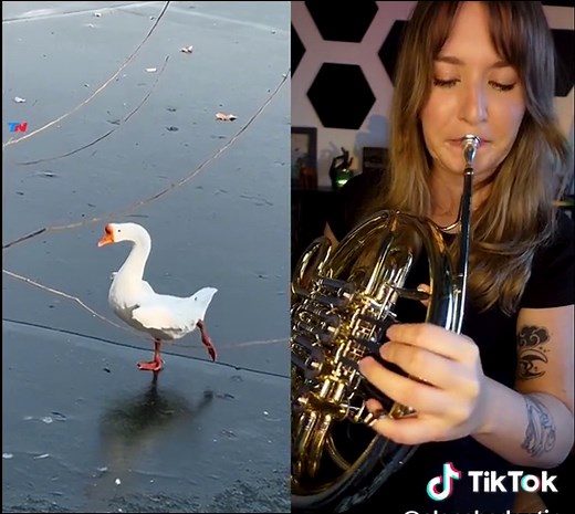 Elegant French Horn Performance by Lucy Goosey