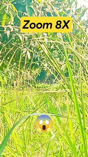 zoom 8x #youtubeshorts #shortfeed #funny
