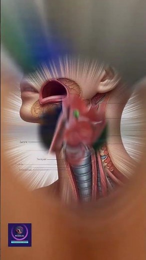 Human Larynx | The Voice Box Explained