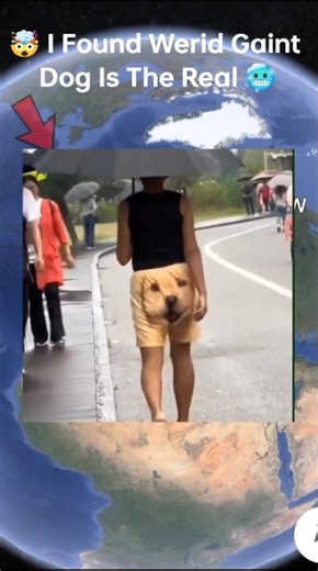 🥶🌫️🧐 I Found Werid Gaint Dog Face in Google Earth and google map 🗺️ #shots #datalegend4u