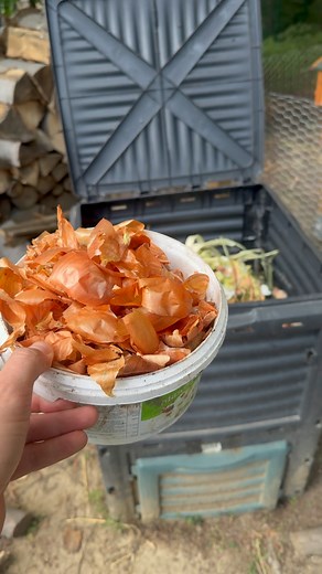 1.6M views · 10K reactions | Don't throw away onion peels! #onion #plants #tips #fertilizer #tips #garden #gardening | Plants and gardening | Facebook