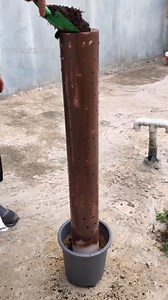 1.1M views · 9.9K reactions | Gardening tips for you, follow for...