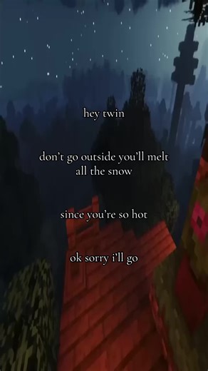 #fyp #twin #minecraft #stretchtok #relatable | twin