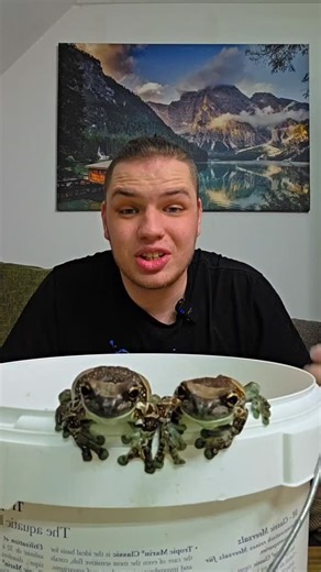 Habt ihr schon einmal Kaulquappen großgezogen oder als Kinder welche aus einem Teich gefangen? Kurze Anmerkung: So, wie ich es mache, ist es für mich am besten. Wenn ihr ein Metallsieb verwendet, achtet unbedingt darauf, dass es weder Rost noch Schäden hat – Kaulquappen können sich sonst verletzen. Wenn euch das Video gefallen hat, lasst gern ein Like da und schreibt in die Kommentare, ob ihr wisst, wie der wissenschaftliche Begriff heißt, wenn Kaulquappen an Land gehen und diese Verwandlung dur