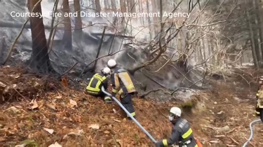WILDFIRE IN JAPAN Firefighters struggled to contain the wildfire in northeastern Japan which has been burning for seven days, destroying houses, and leaving thousands of residents evacuated. As of 0300 GMT on Tuesday (March 4), Japan’s Fire and Disaster Management Agency said the fire has spread over 2,600 hectares (6,425 acres) of land, and 4,596 people have been ordered to evacuate. The blaze has become the country’s worst wildfire in three decades, said public broadcaster NHK. Dry air is expe