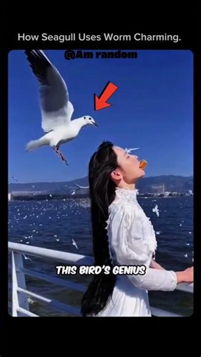 🤯How Seagull Uses Worm Charming🪱🤯|#shorts
