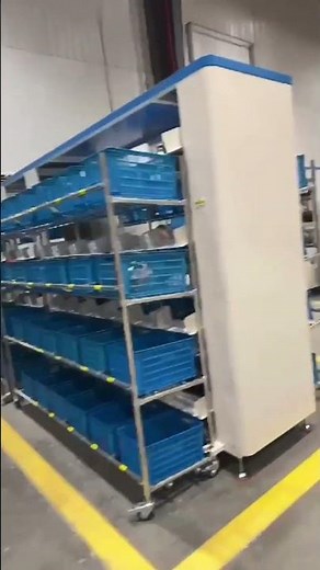 Automated Put Wall Sorting Tray Seeding Order Fulfillment Consolidation Ecommerce System