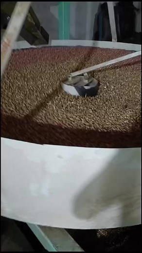 Mungfali grader machine WhatsApp no 91 91111 56620 | Punjab Engineering Corporation