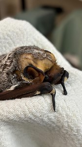 11K views · 925 reactions | Now that we have your attention with this...