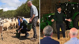 Flock of sheep flee as Rishi Sunak and David Cameron try to feed them | LBC