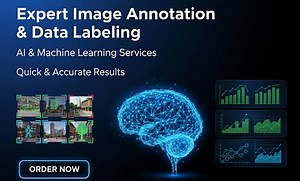 Kainat_ashfaq10: I will do image annotation, data labeling, segmentation, ai services, machine learning for $35 on fiverr.com