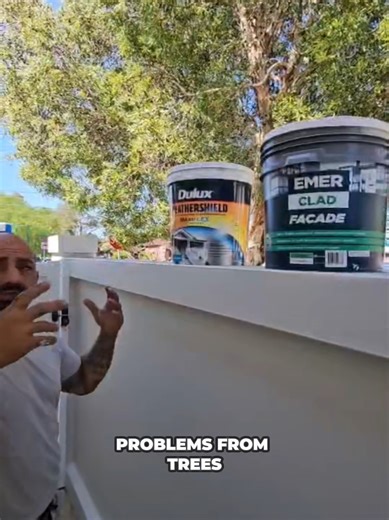 Waterproofing Tips for Painting Walls Affected by Trees