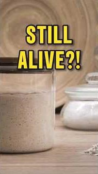 Your Sourdough Starter Could Outlive You 🤯 #sourdough #facts
