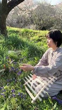 桜の木の下🌸クリスタルハープ演奏